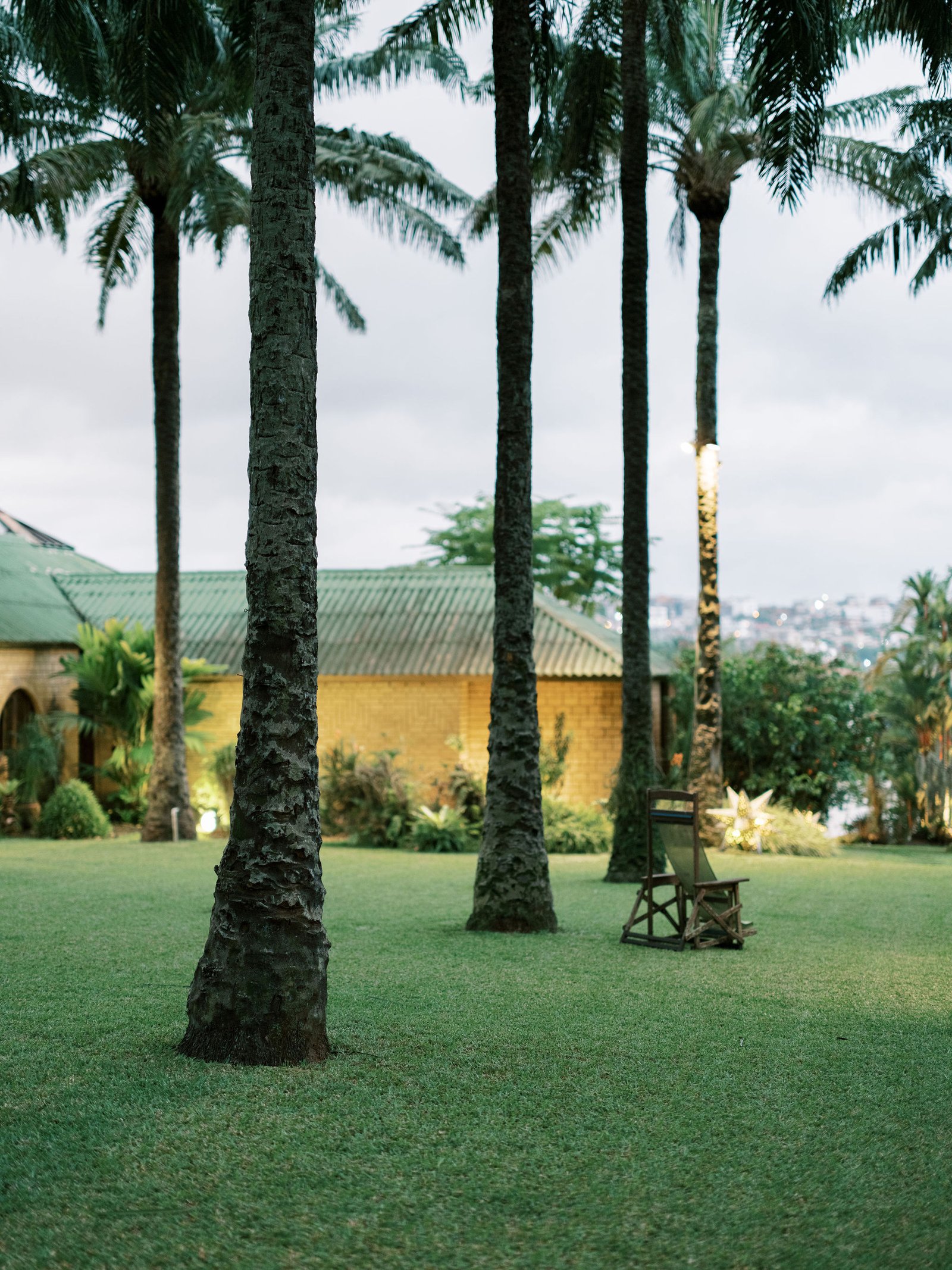 Tropical villa palm garden in Abidjan bathed in warm evening light