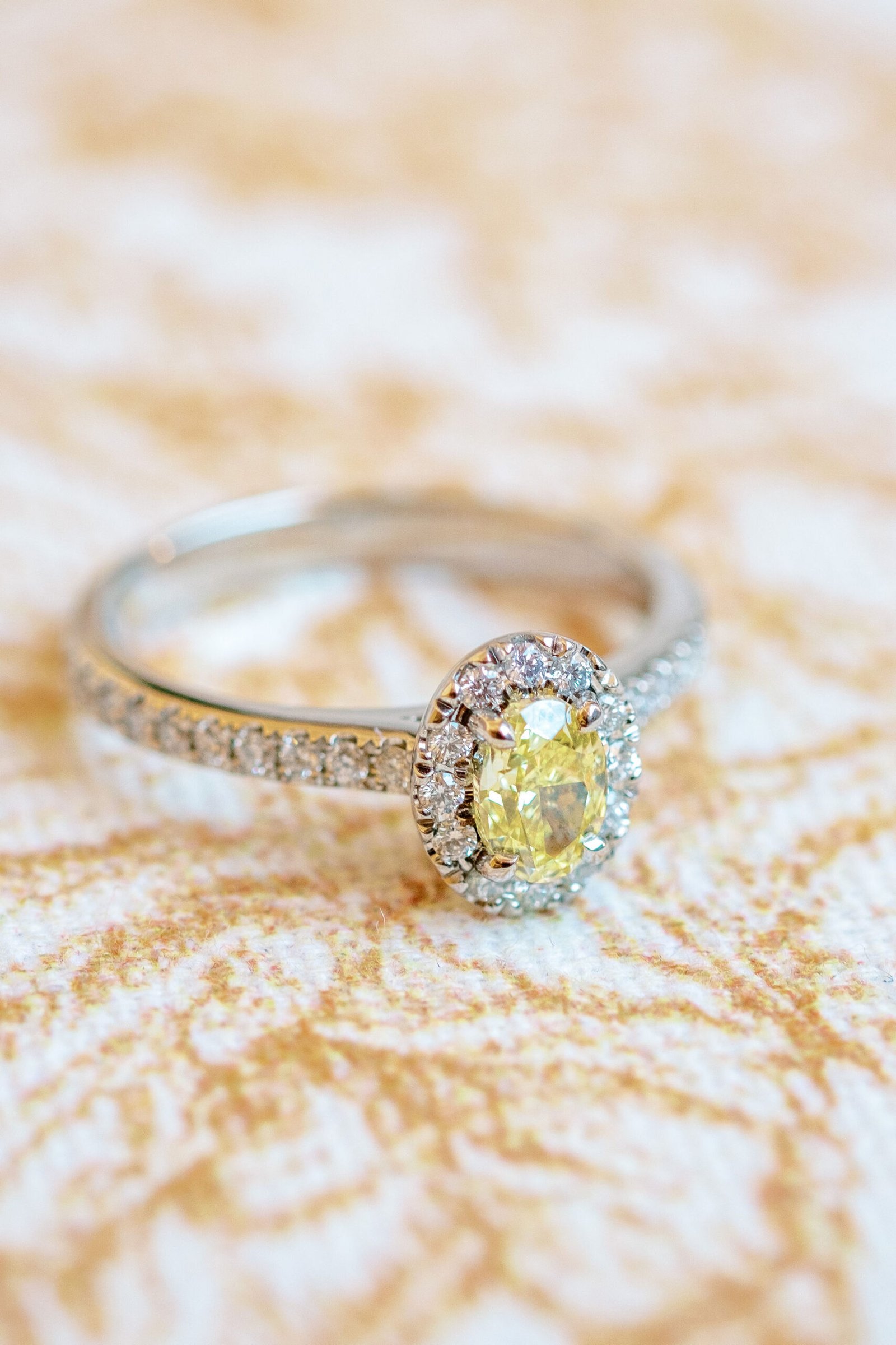 Château de at l'Aile