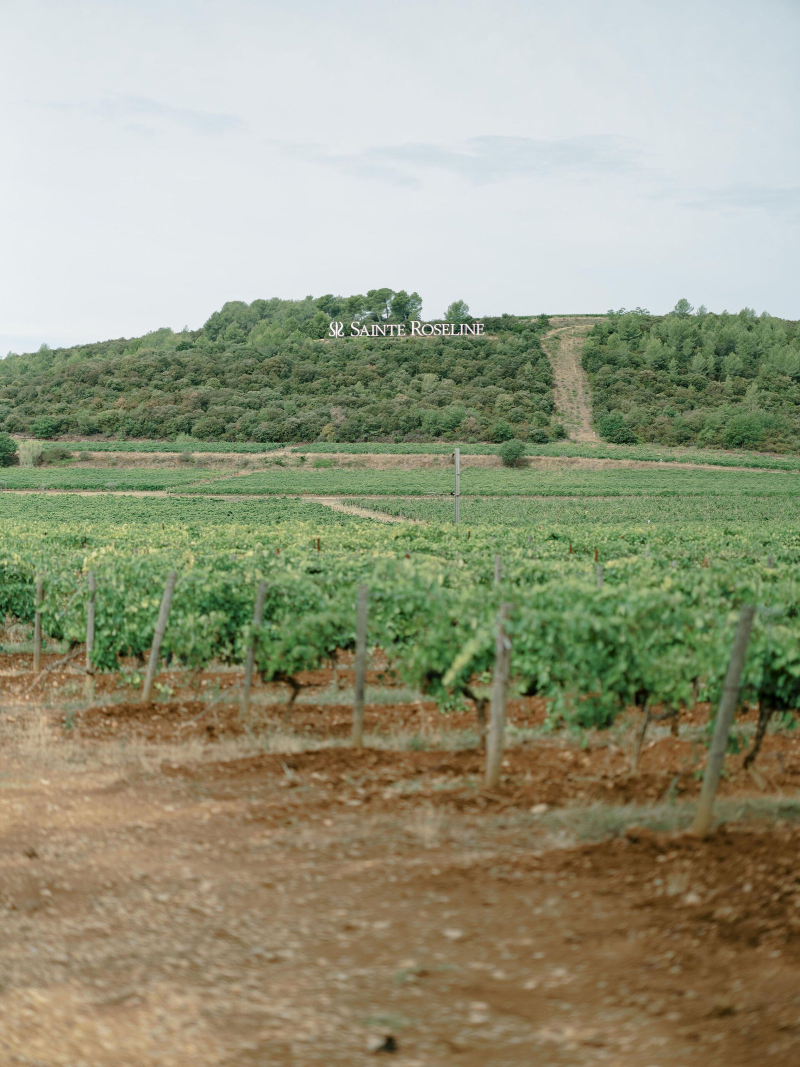 Franklyn K Photography