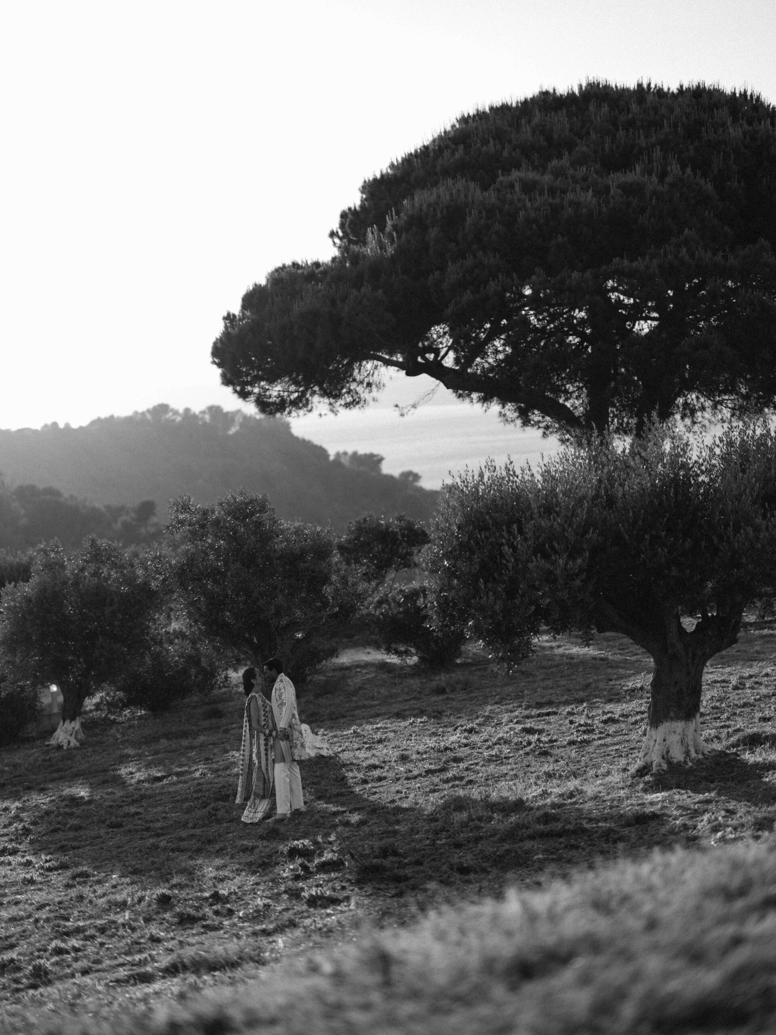 Black and white portrait of a couple in an olive grove beneath a stone pine near Lisbon